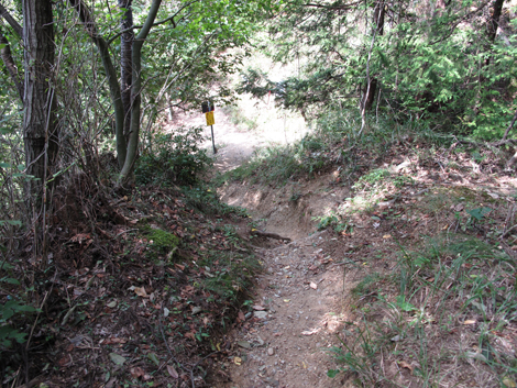 20151006hike (116)